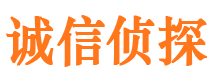 兴化市调查公司